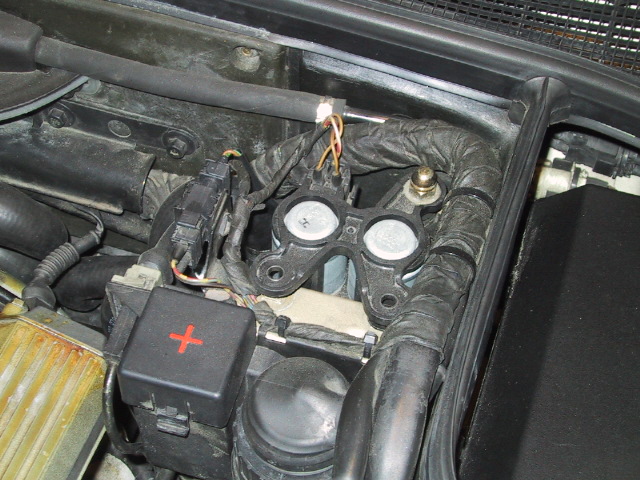 100_0075_IMG.jpg