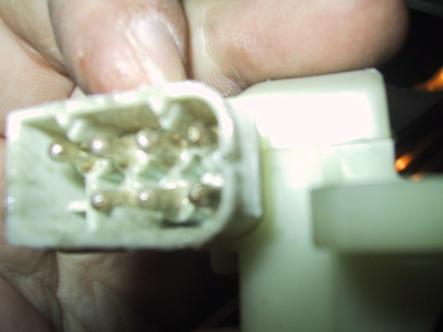 100_0091_IMG.jpg
