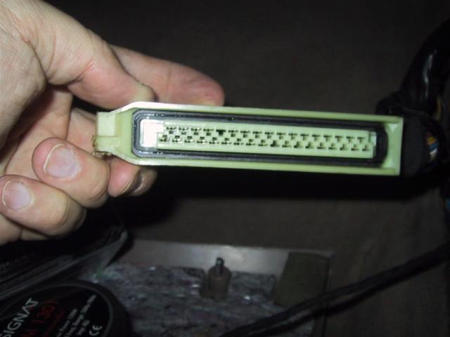 103_0341_IMG.jpg