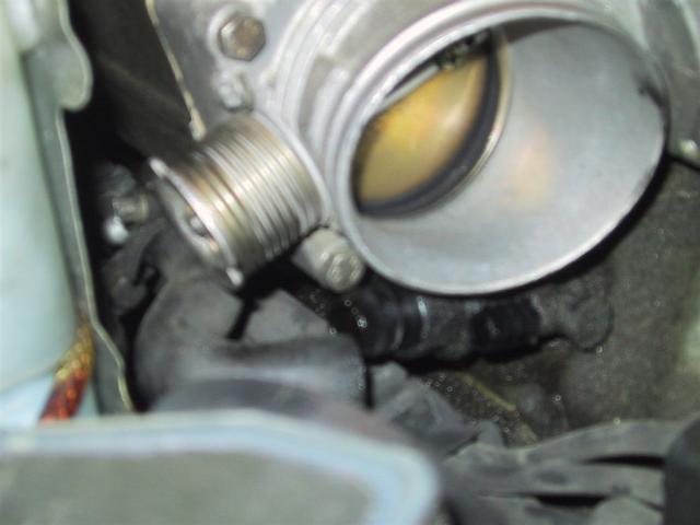 104_0476_IMG.jpg