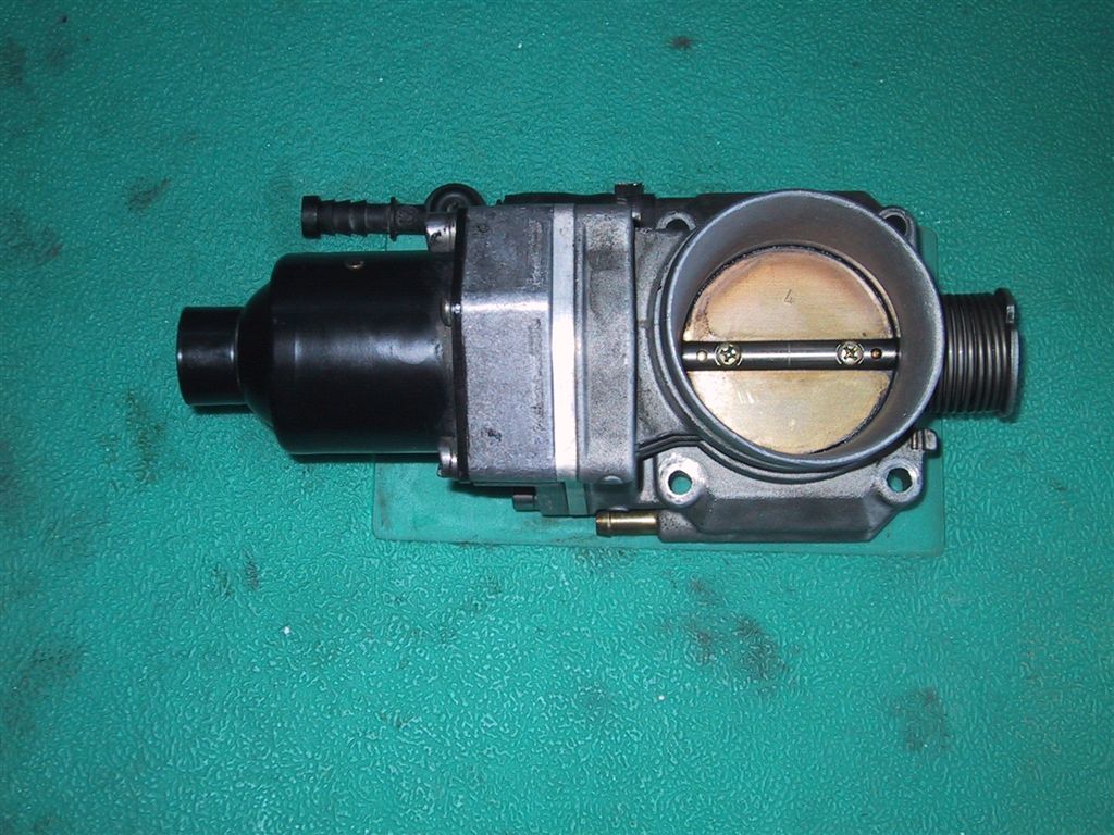 104_0482_IMG.jpg